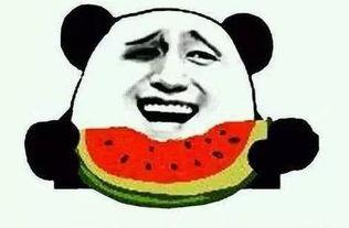 娱乐吃瓜酱朋友专属梗