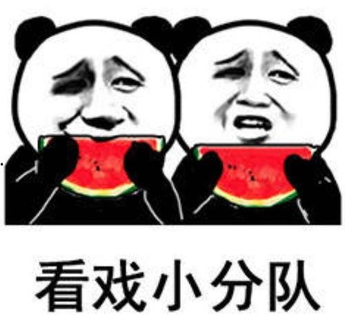 娱乐吃瓜酱朋友专属梗